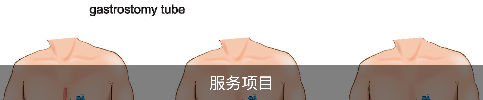 服务项目